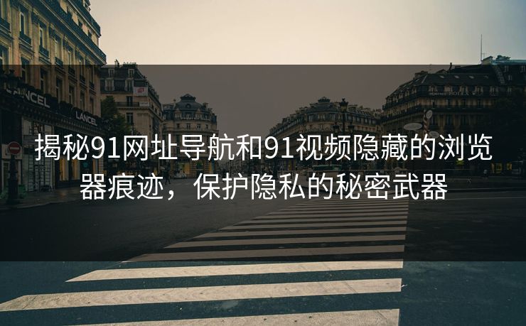 揭秘91网址导航和91视频隐藏的浏览器痕迹，保护隐私的秘密武器